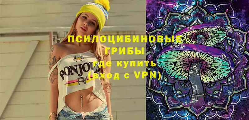 Галлюциногенные грибы Cubensis  сколько стоит  Новоаннинский 